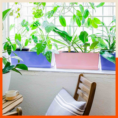 LEA Hanging Metal Pot Holders / Planters for Home / Balcony / Garden | Blush